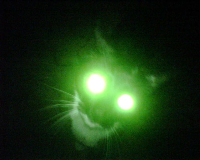 morning picdump 62 pics 4.html - 62 HD Photos | Premium Gallery 2011