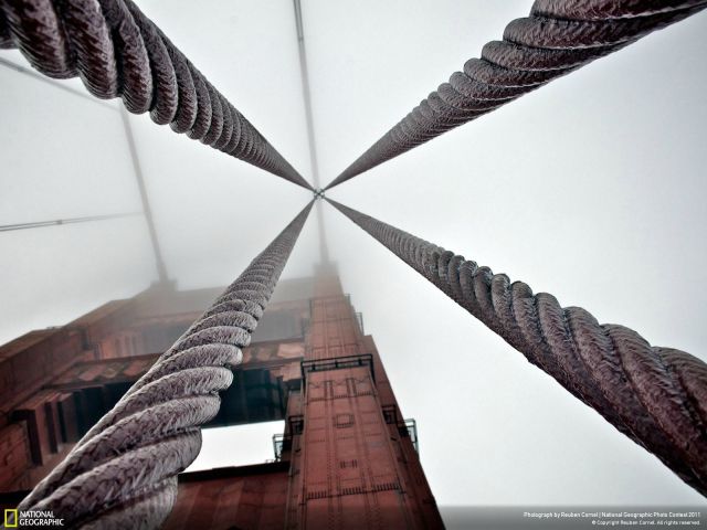 morning picdump 63 pics 21.html - 63 HD Photos | Premium Gallery 2011