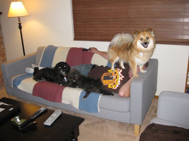 morning picdump 63 pics 21.html - 63 HD Photos | Premium Gallery 2011