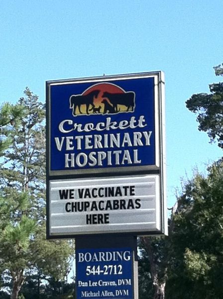 morning picdump 63 pics 21.html - 63 HD Photos | Premium Gallery 2011