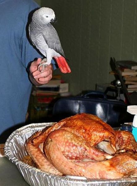 morning picdump 57 pics 14.html - 57 HD Photos | Premium Gallery 2011