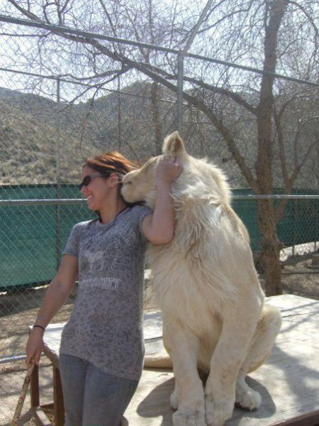 morning picdump 57 pics 14.html - 57 HD Photos | Premium Gallery 2011