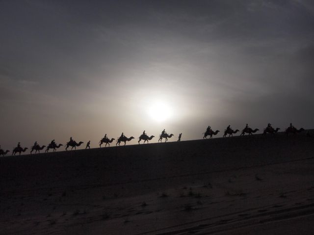 morning picdump 66 pics 29.html - 66 HD Photos | Premium Gallery 2011