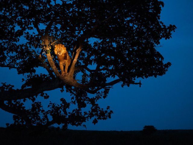 morning picdump 66 pics 29.html - 66 HD Photos | Premium Gallery 2011