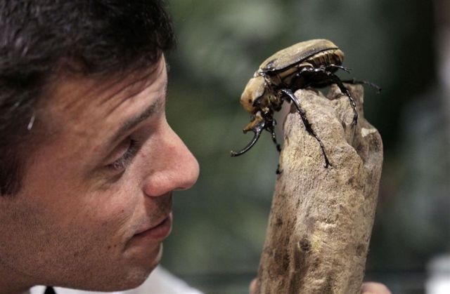 morning picdump 66 pics 29.html - 66 HD Photos | Premium Gallery 2011