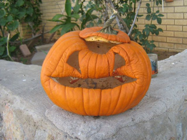 morning picdump 66 pics 29.html - 66 HD Photos | Premium Gallery 2011