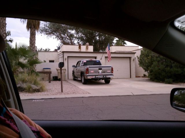 morning picdump 66 pics 29.html - 66 HD Photos | Premium Gallery 2011