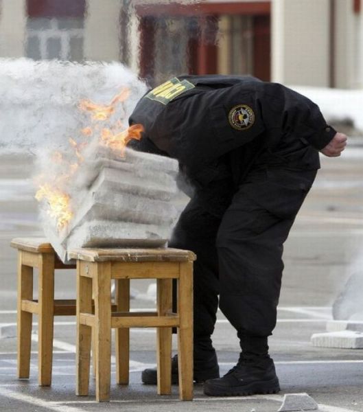 daily picdump 101 pics 9.html - 101 HD Photos | Premium Gallery 2011