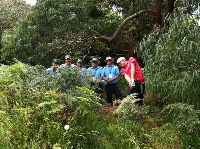 daily picdump 101 pics 9.html - 101 HD Photos | Premium Gallery 2011