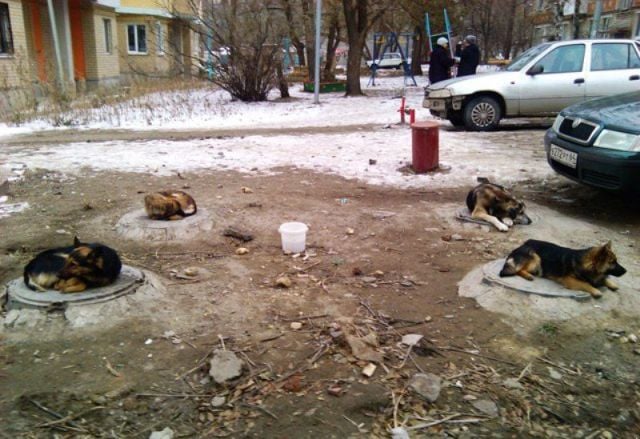 morning picdump 67 pics 28.html - 67 HD Photos | Premium Gallery 2011