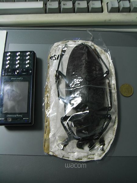 morning picdump 67 pics 28.html - 67 HD Photos | Premium Gallery 2011