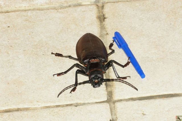 morning picdump 67 pics 28.html - 67 HD Photos | Premium Gallery 2011