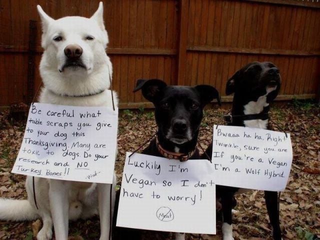 morning picdump 67 pics 28.html - 67 HD Photos | Premium Gallery 2011