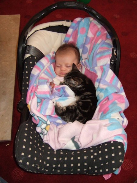 morning picdump 67 pics 28.html - 67 HD Photos | Premium Gallery 2011