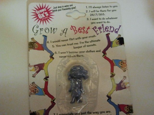 morning picdump 64 pics 17.html - 64 HD Photos | Premium Gallery 2011