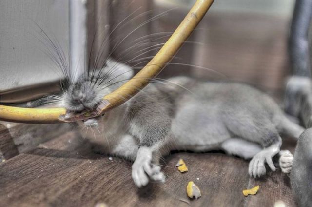 morning picdump 64 pics 17.html - 64 HD Photos | Premium Gallery 2011