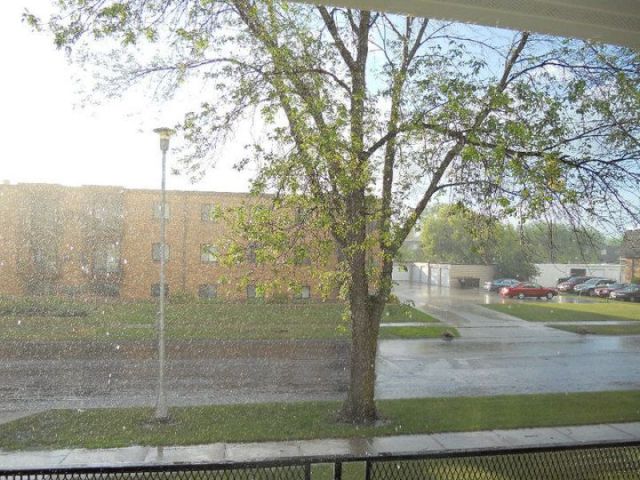 morning picdump 64 pics 17.html - 64 HD Photos | Premium Gallery 2011