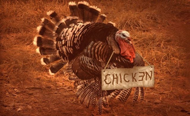 Funny Thanksgiving Moments