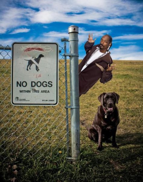 daily picdump 91 pics 17.html - 91 HD Photos | Premium Gallery 2011