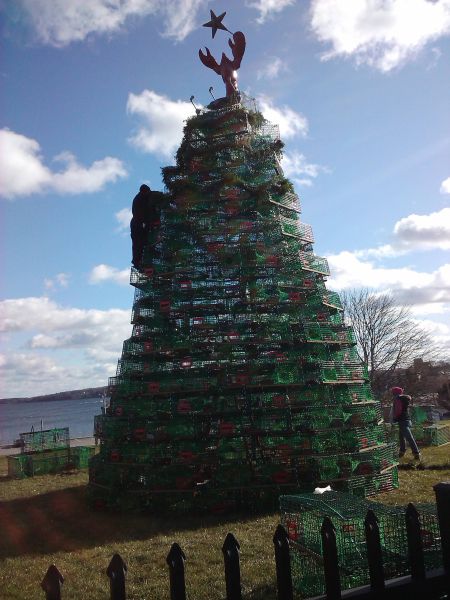 daily picdump 91 pics 17.html - 91 HD Photos | Premium Gallery 2011