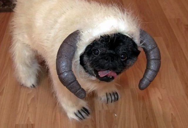 daily picdump 91 pics 17.html - 91 HD Photos | Premium Gallery 2011