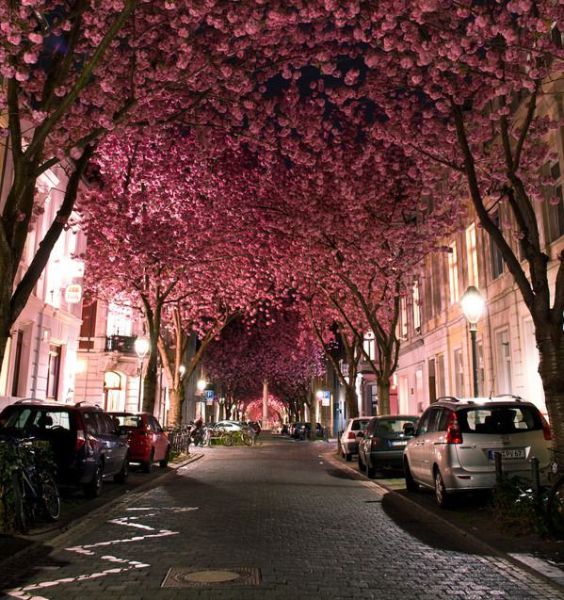 morning picdump 60 pics 3.html - 60 HD Photos | Premium Gallery 2011