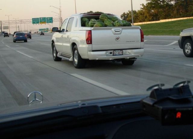 morning picdump 60 pics 3.html - 60 HD Photos | Premium Gallery 2011