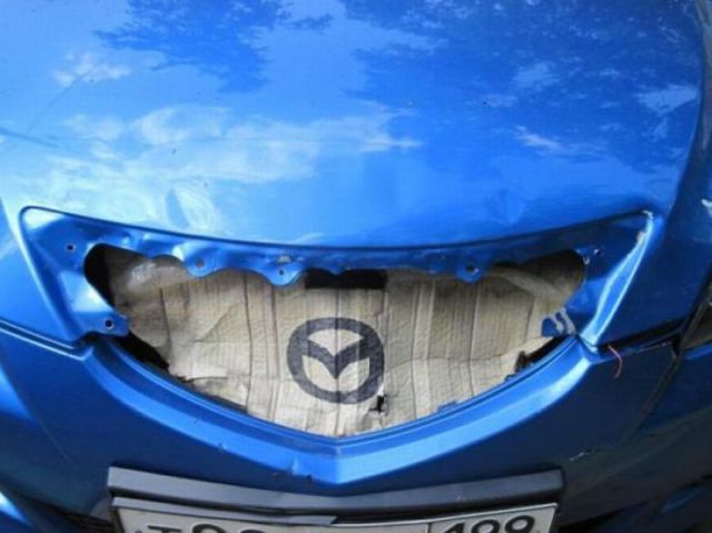 morning picdump 60 pics 3.html - 60 HD Photos | Premium Gallery 2011