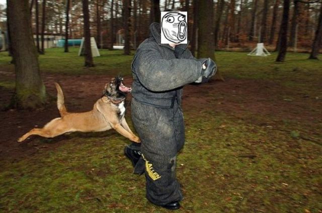 morning picdump 60 pics 3.html - 60 HD Photos | Premium Gallery 2011