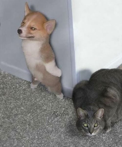 Daily Picdump [WEEKEND EDITION]