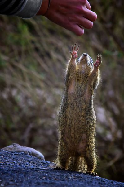 Daily Picdump [WEEKEND EDITION]