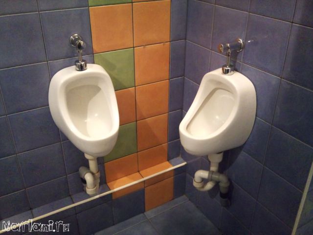 Daily Picdump [WEEKEND EDITION]