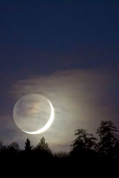 morning picdump 66 pics 3.html - 66 HD Photos | Premium Gallery 2011