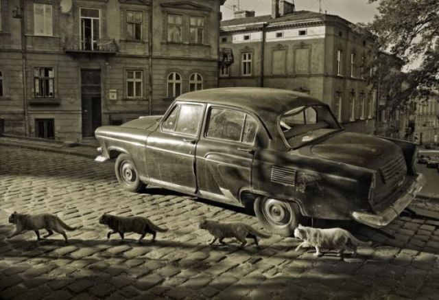 morning picdump 66 pics 3.html - 66 HD Photos | Premium Gallery 2011