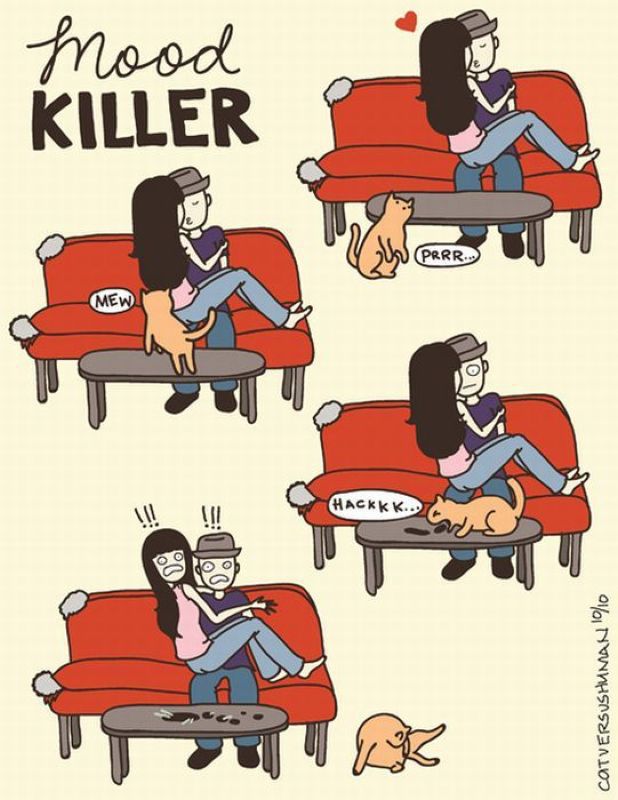 morning picdump 66 pics 3.html - 66 HD Photos | Premium Gallery 2011