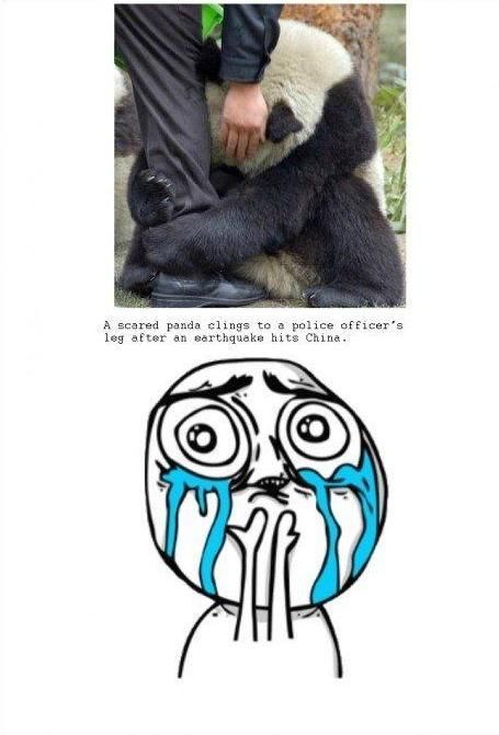 morning picdump 66 pics 3.html - 66 HD Photos | Premium Gallery 2011