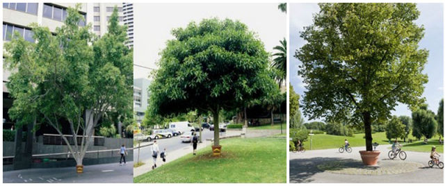 advertising ripoff cases 74 pics 73.html - 74 HD Photos | Premium Gallery 2011