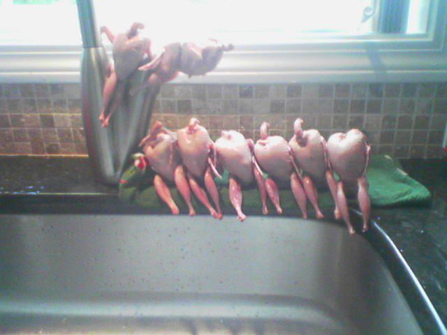 morning picdump 61 pics 8.html - 61 HD Photos | Premium Gallery 2011