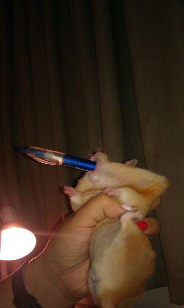 morning picdump 61 pics 8.html - 61 HD Photos | Premium Gallery 2011