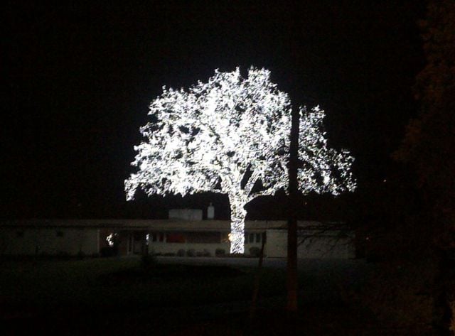 morning picdump 58 pics 9.html - 58 HD Photos | Premium Gallery 2011