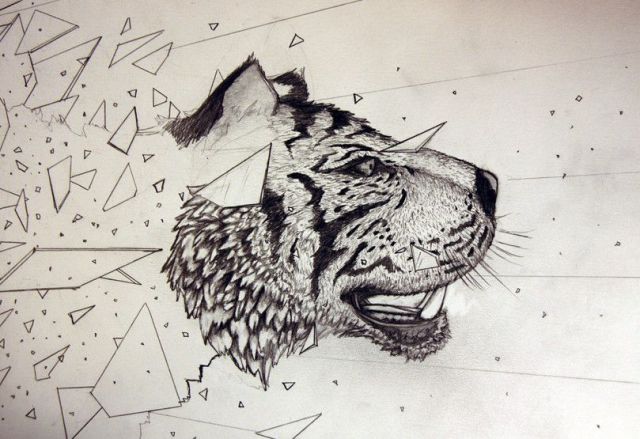 morning picdump 58 pics 9.html - 58 HD Photos | Premium Gallery 2011