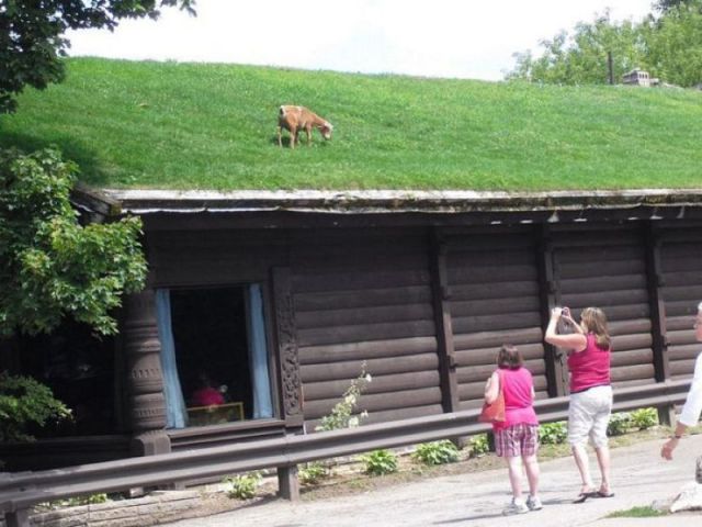 morning picdump 58 pics 14.html - 58 HD Photos | Premium Gallery 2011