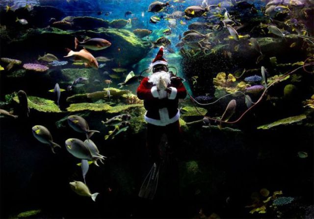 morning picdump 58 pics 14.html - 58 HD Photos | Premium Gallery 2011