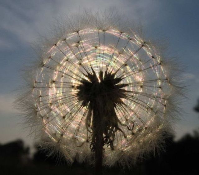 morning picdump 58 pics 14.html - 58 HD Photos | Premium Gallery 2011