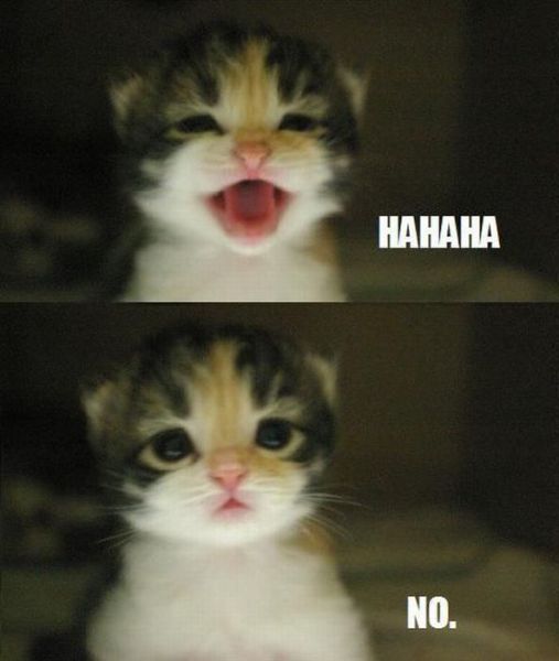 morning picdump 58 pics 14.html - 58 HD Photos | Premium Gallery 2011