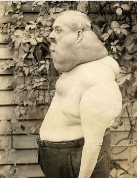 morning picdump 58 pics 26.html - 58 HD Photos | Premium Gallery 2011