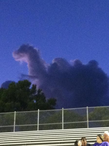 morning picdump 58 pics 26.html - 58 HD Photos | Premium Gallery 2011