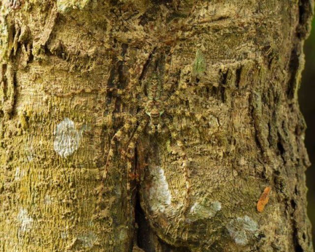 daily picdump 98 pics 39.html - 98 HD Photos | Premium Gallery 2011