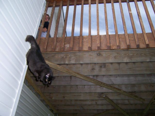 daily picdump 98 pics 39.html - 98 HD Photos | Premium Gallery 2011