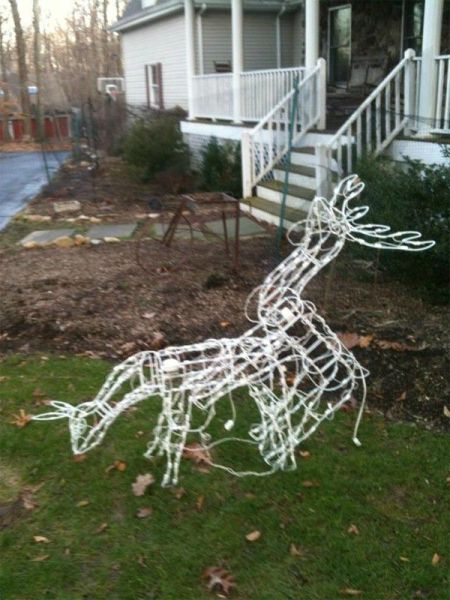 daily picdump 98 pics 39.html - 98 HD Photos | Premium Gallery 2011